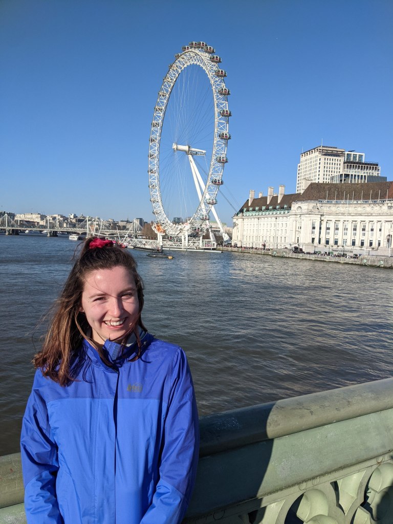 london-eye-ferris-wheel-tourist-london-travel-guide