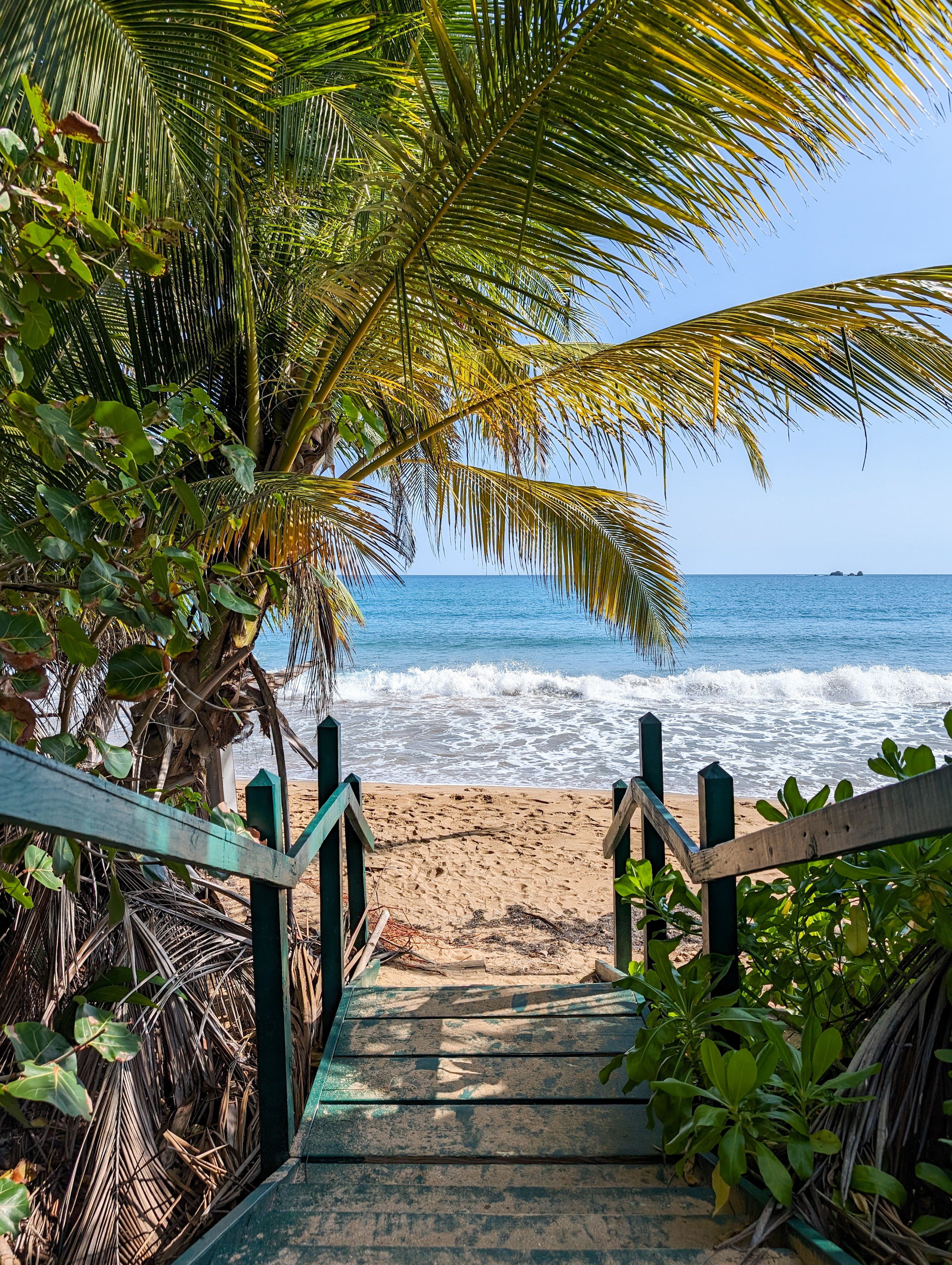 puerto-rico-humacao-island-vacation-spring-break-palm-trees-beach-day