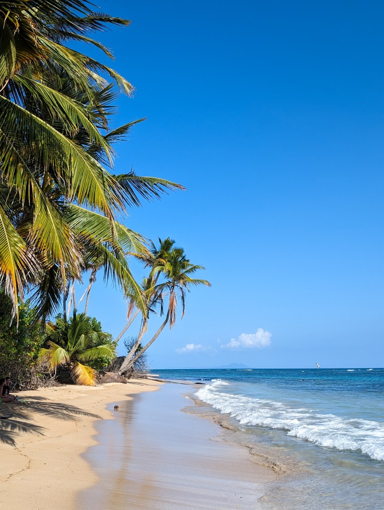humacao-puerto-rico-beaches-atlantic-ocean-tropical-vacation-spring-break