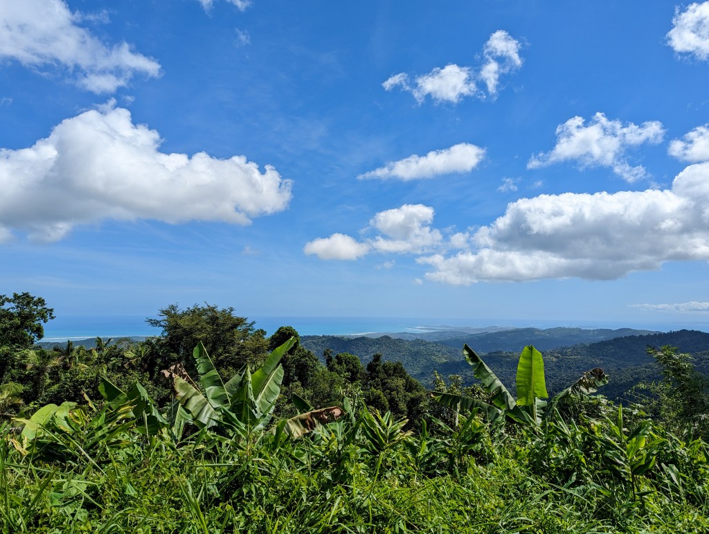 el-yunque-views-puerto-rico-rainforest-ocean